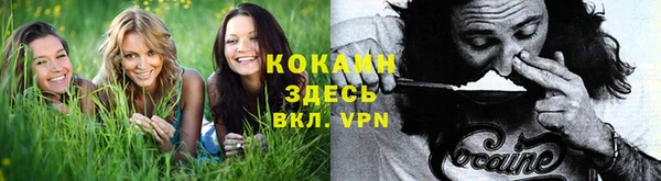 мет Белокуриха